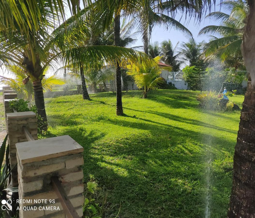 Apartamento Ponta Brilles. Departamento 1