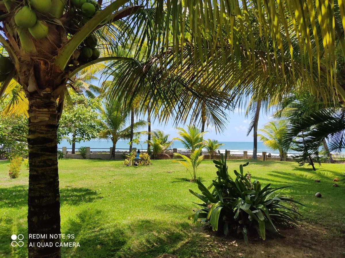 Ponta Brilles. Departamento 1 Apartamento